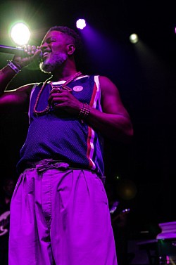 Butterfly/Brooklyn Bowl
